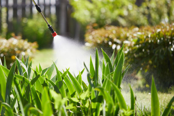 24/7 Emergency Mosquito Control experts in South Cleveland, TN