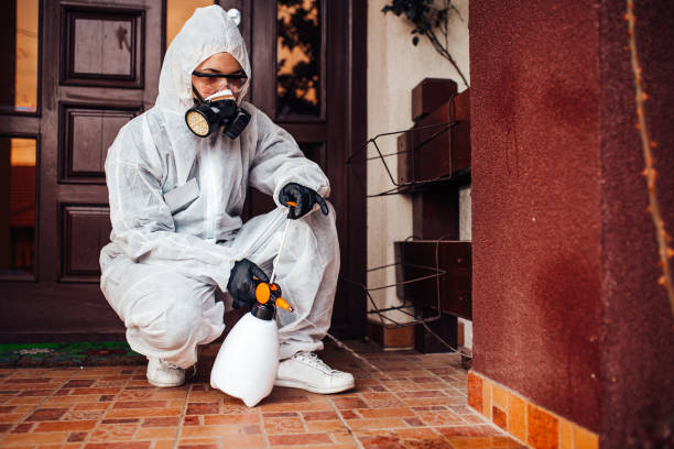 Reliable Mosquito Control contractor in South Cleveland, TN by Nex Pest Control